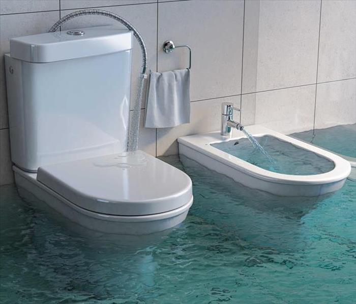 A flooded Toilet.